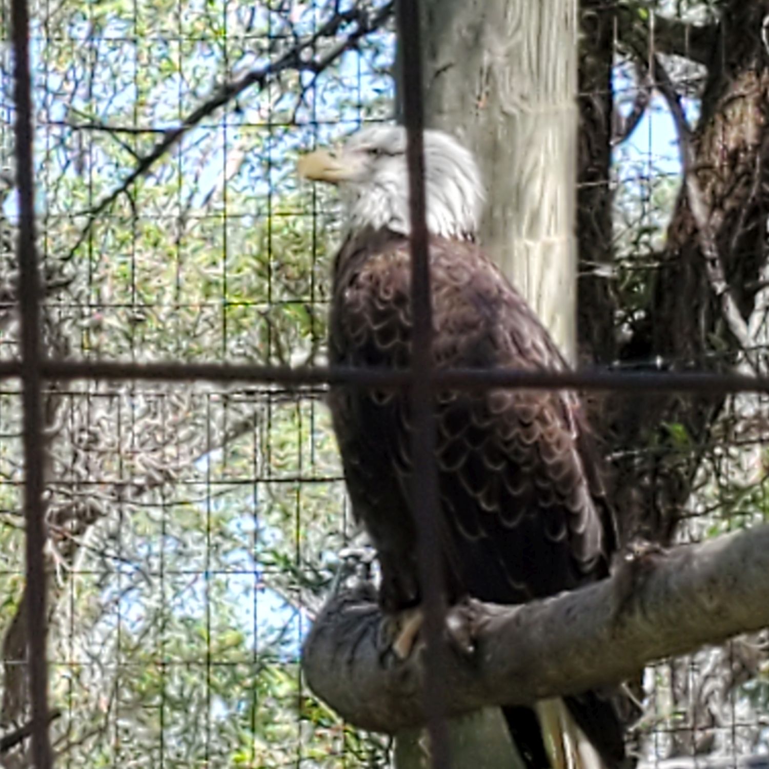 Sedgwick County Zoo 